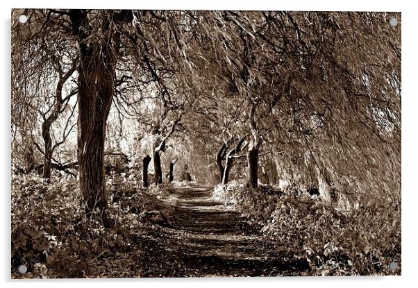 Sepia Woodland by Staunton Resevoir Acrylic by leonard alexander
