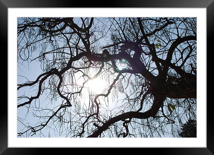 Shower Of Sunrays Framed Mounted Print by Sudipta Paul