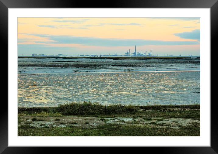 Riverside Country Park, River View Framed Mounted Print by Robert Cane