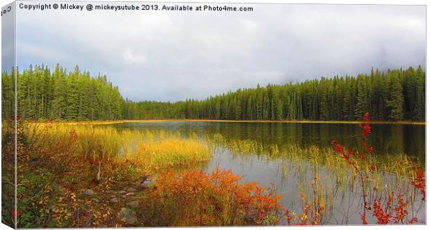 Autumn Colours Of Buck Lake Canvas Print by rawshutterbug 