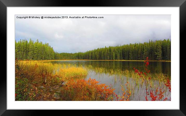 Autumn Colours Of Buck Lake Framed Mounted Print by rawshutterbug 