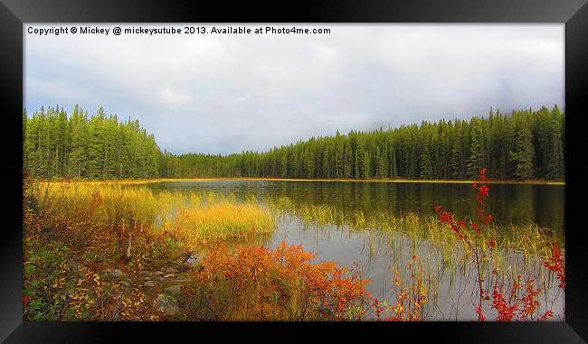 Autumn Colours Of Buck Lake Framed Print by rawshutterbug 
