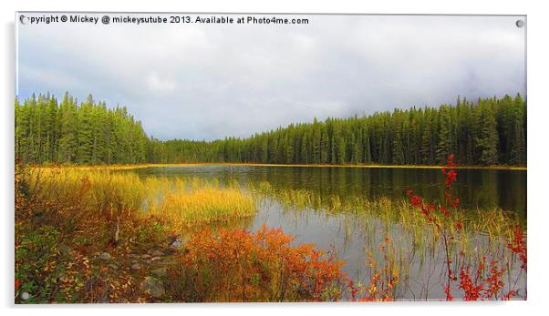 Autumn Colours Of Buck Lake Acrylic by rawshutterbug 