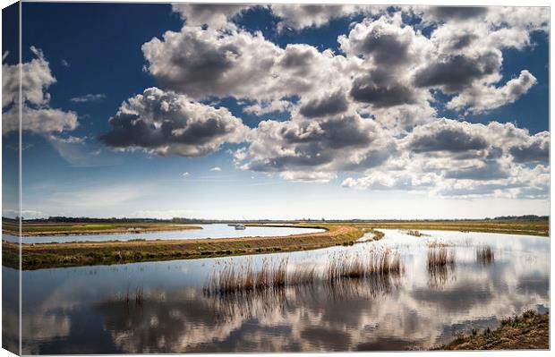 River Bure on the Norfolk Broads Canvas Print by Stephen Mole