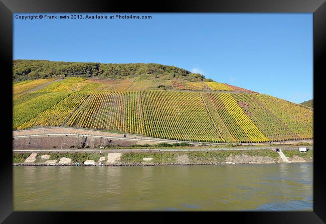 The vinyards of the River Rhine Framed Print by Frank Irwin