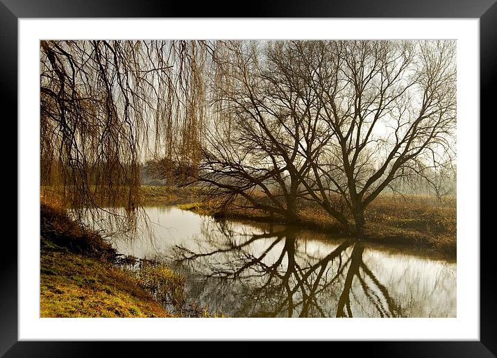 Misty winter morning 2 Framed Mounted Print by Jim O'Donnell