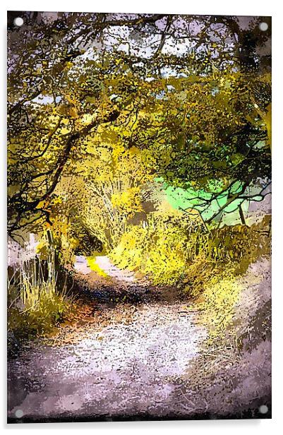 Peak District lane watercolour Acrylic by Brian  Raggatt