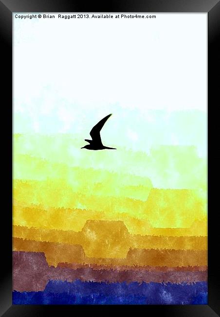 Seagull flight Framed Print by Brian  Raggatt