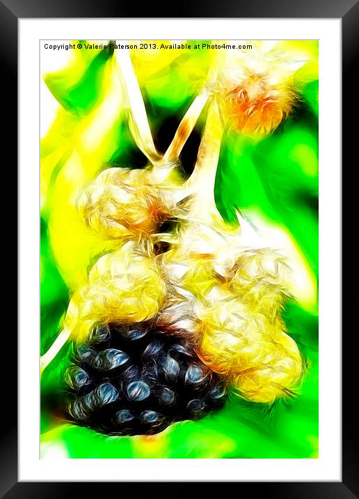 Ones Ripe Framed Mounted Print by Valerie Paterson
