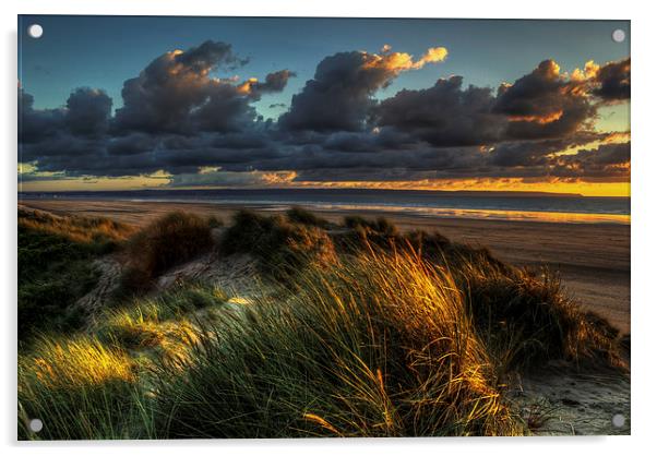 Saunton Sands North Devon Acrylic by Dave Wilkinson North Devon Ph