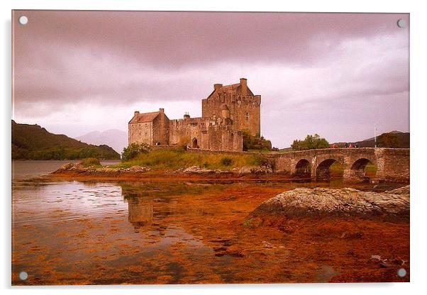 Eilean Donan Castle Acrylic by Bill Lighterness
