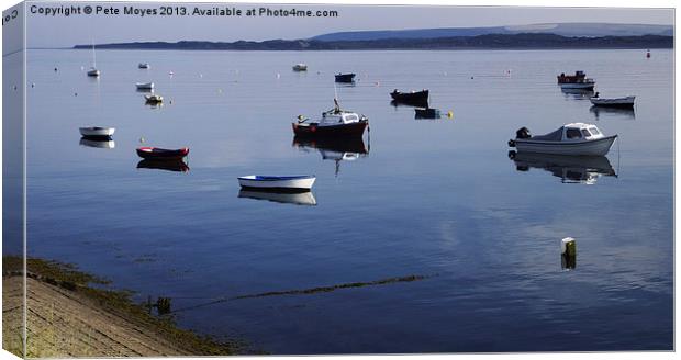 At Rest in the Torridge Canvas Print by Pete Moyes