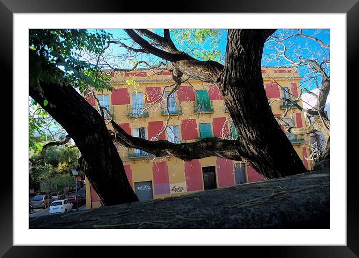 Building behind some trees Framed Mounted Print by Jose Manuel Espigares Garc