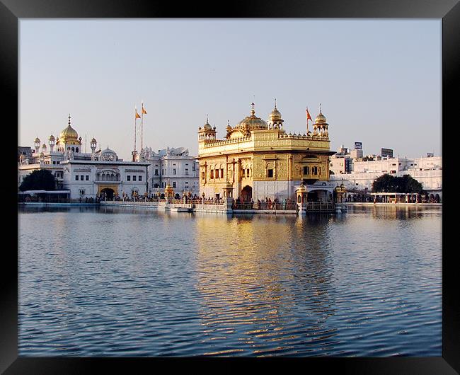 the golden temple Framed Print by anurag gupta