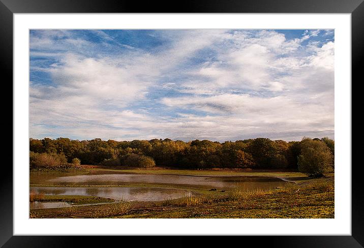 Autumn at Bough Beech Framed Mounted Print by Dawn Cox