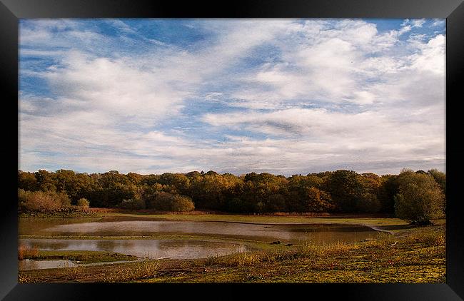 Autumn at Bough Beech Framed Print by Dawn Cox