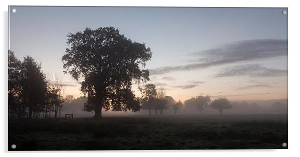 Frosty November Sunrise Acrylic by Simon Wrigglesworth