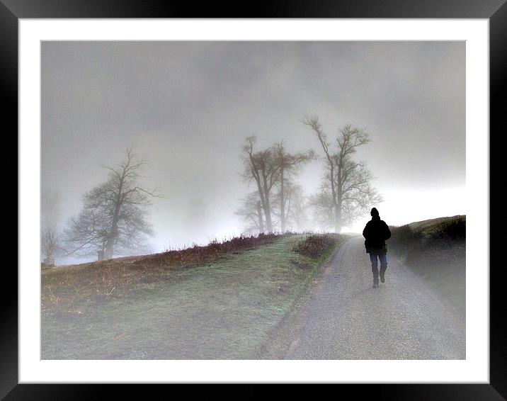 the mist at knole park Framed Mounted Print by Brett watson