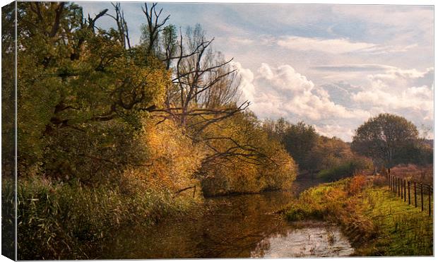 Along the riverbank Canvas Print by Dawn Cox
