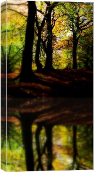 mother nature2 Canvas Print by dale rys (LP)