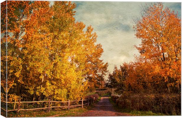 Autumnal  Vibrance Canvas Print by Dawn Cox