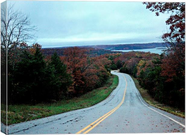 Drive to the Lake Canvas Print by Pics by Jody Adams