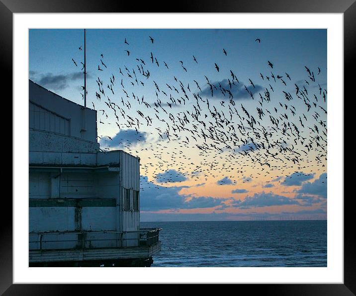 Starlings Framed Mounted Print by Victor Burnside