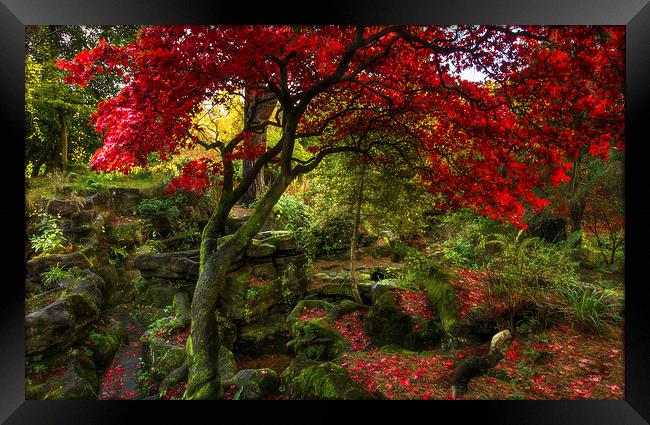 Autumn Colours at Rosshall Park Glasgow Framed Print by Tylie Duff Photo Art