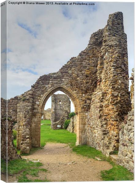 Hastings Castle Canvas Print by Diana Mower