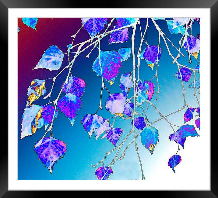 Blue Leaf Abstract Framed Mounted Print by james richmond