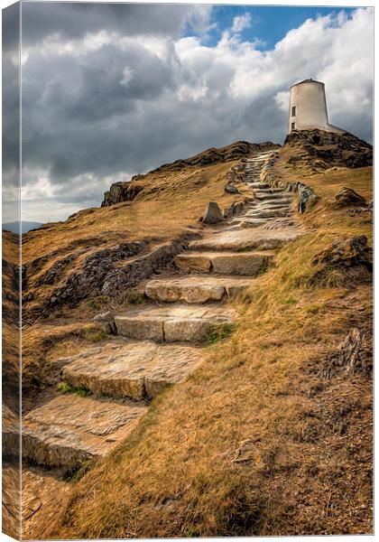 Lighthouse Way Canvas Print by Adrian Evans