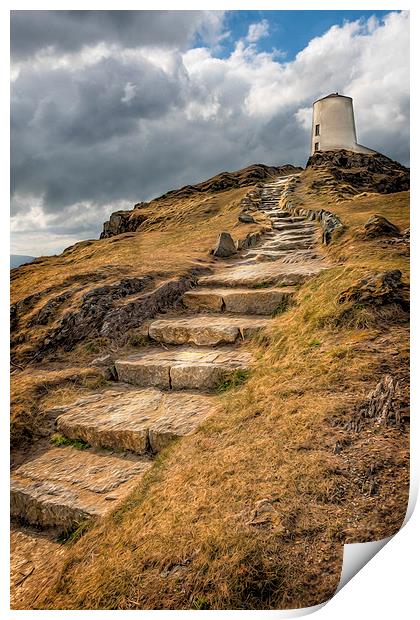 Lighthouse Way Print by Adrian Evans