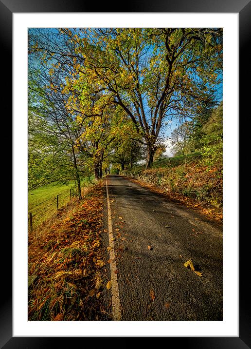 Autumn Country Road Framed Mounted Print by Adrian Evans