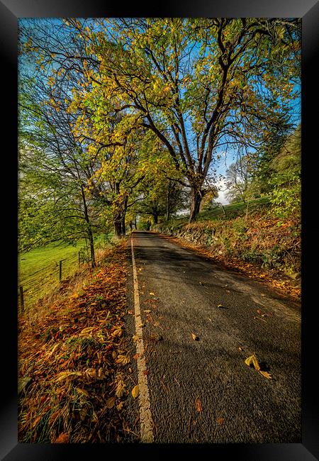 Autumn Country Road Framed Print by Adrian Evans