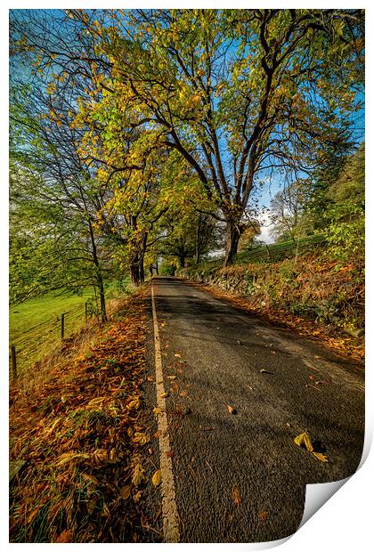 Autumn Country Road Print by Adrian Evans
