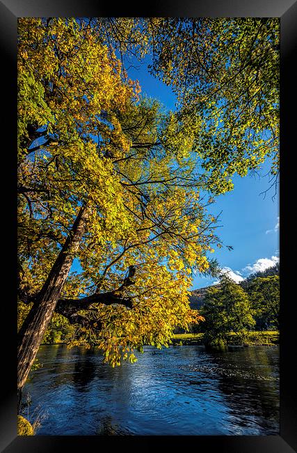 Down by the River Framed Print by Adrian Evans