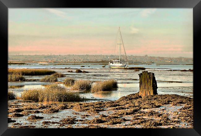 Riverside Country Park, River View Framed Print by Robert Cane