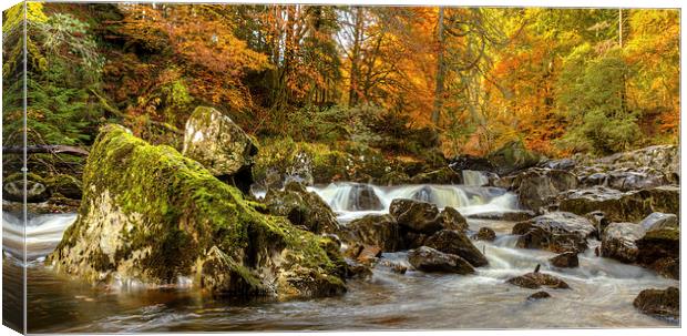 Autumn, River Braan Canvas Print by Mike Stephen