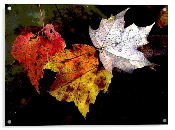 Leaves in Pond Acrylic by james balzano, jr.