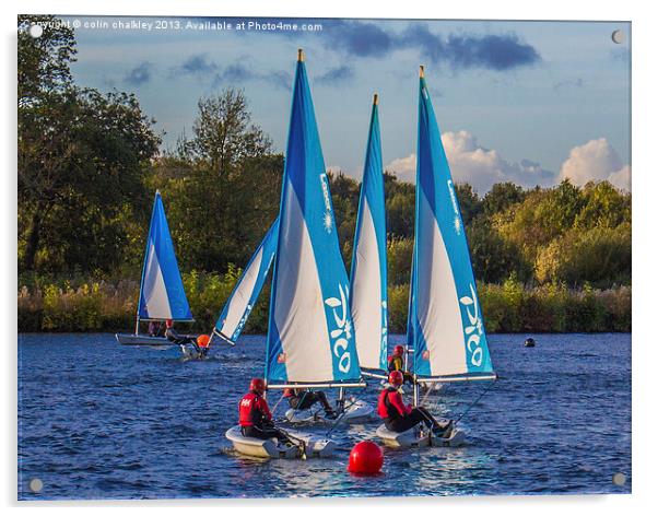 Dinghy Sailing at Dinton Pastures Acrylic by colin chalkley