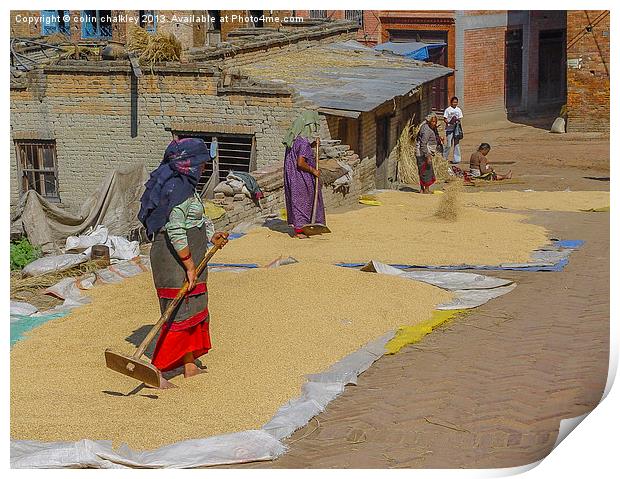 Drying grain in Kathmandu Print by colin chalkley