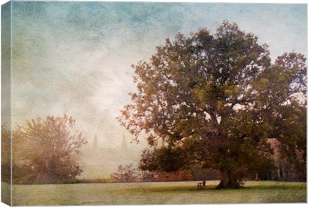 The Old Oak Tree Canvas Print by Dawn Cox