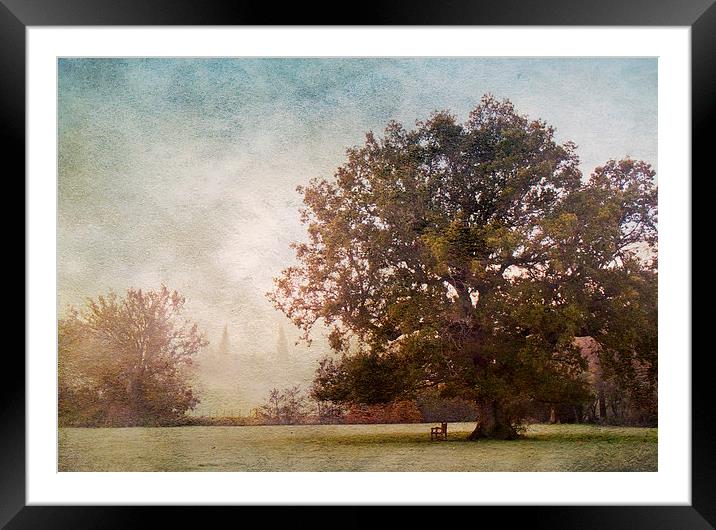 The Old Oak Tree Framed Mounted Print by Dawn Cox