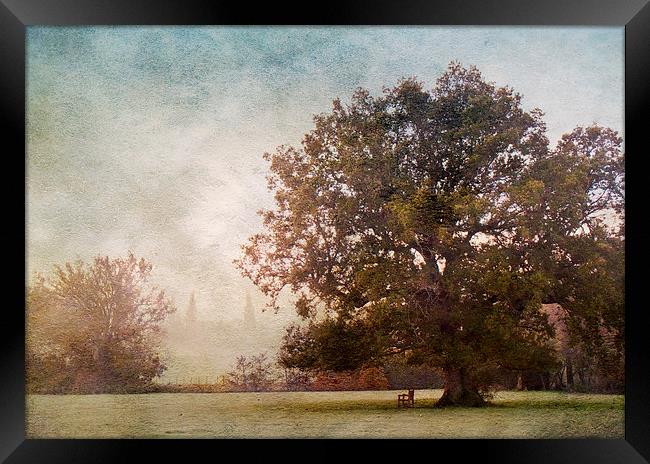 The Old Oak Tree Framed Print by Dawn Cox