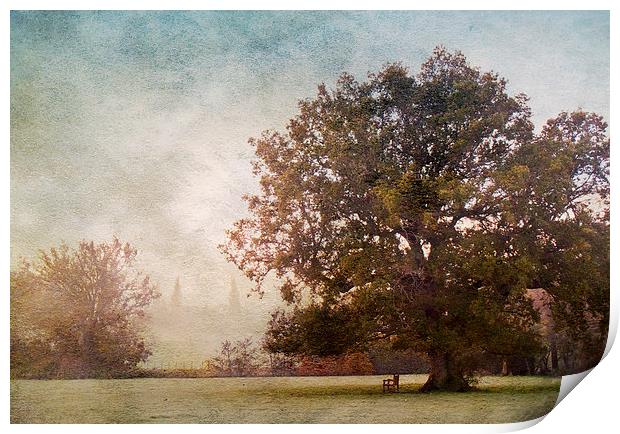 The Old Oak Tree Print by Dawn Cox