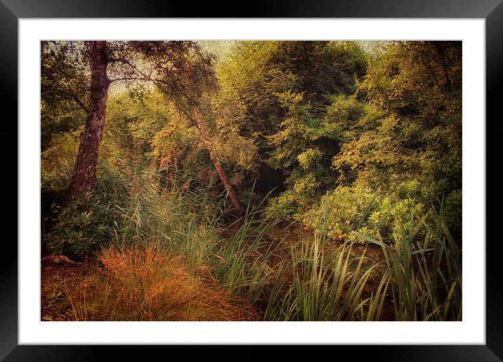 At The Riverside Framed Mounted Print by Julie Coe