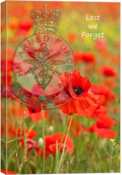 Lest we forget Canvas Print by Barbara Ambrose