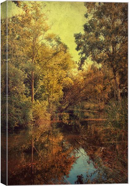 Beautiful Pond Canvas Print by Julie Coe