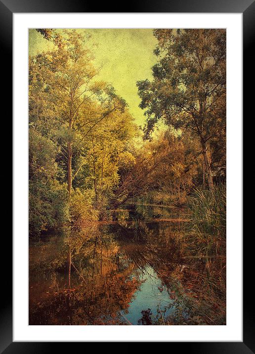 Beautiful Pond Framed Mounted Print by Julie Coe