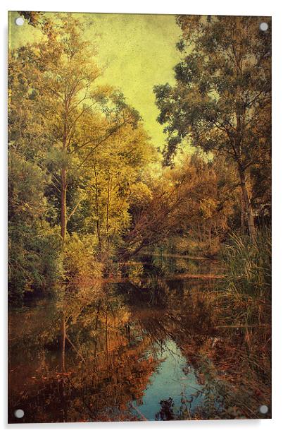 Beautiful Pond Acrylic by Julie Coe
